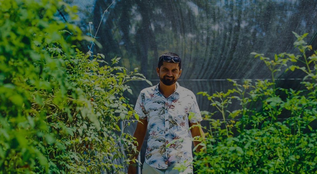 Ram Matheus standing in dense green planting