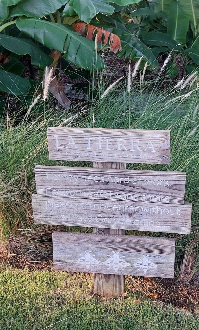 Timber signage boards in the planting