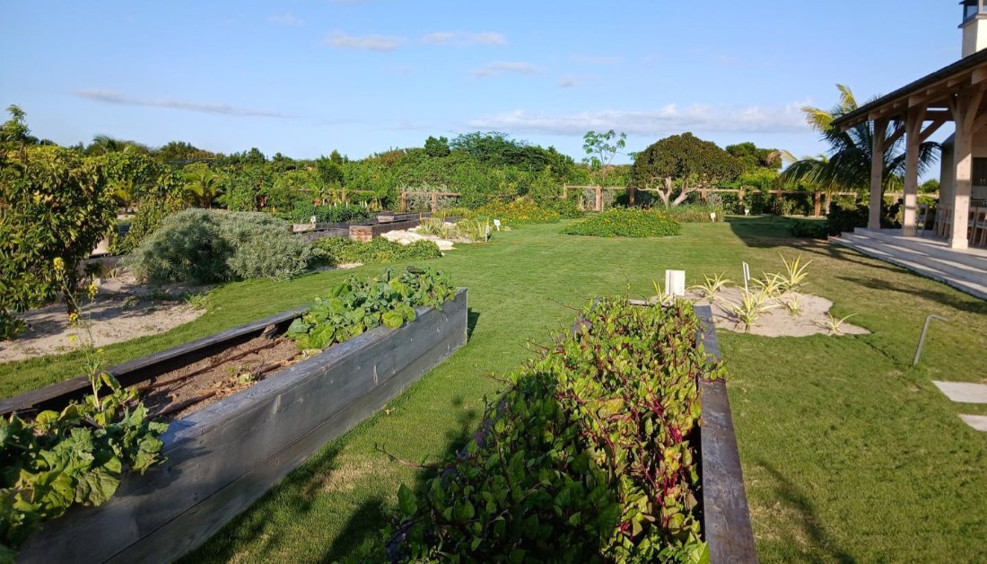New garden beds beside the club pavilion