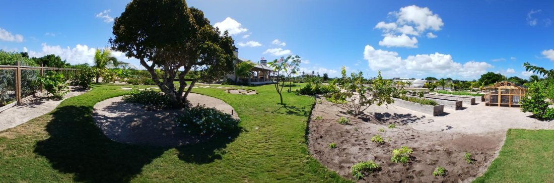 A panorama of the planted grounds