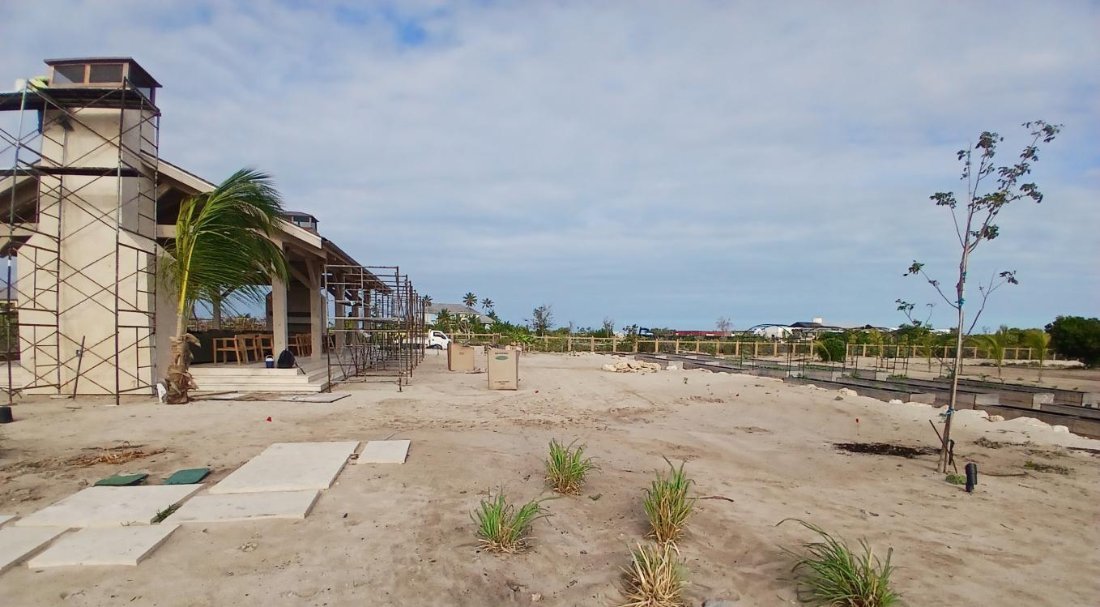 Early planting around a building under construction