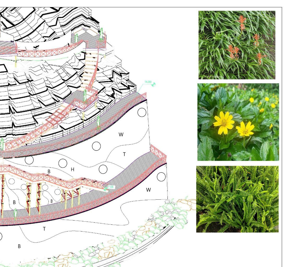 The planting plan drawing with plant photographs