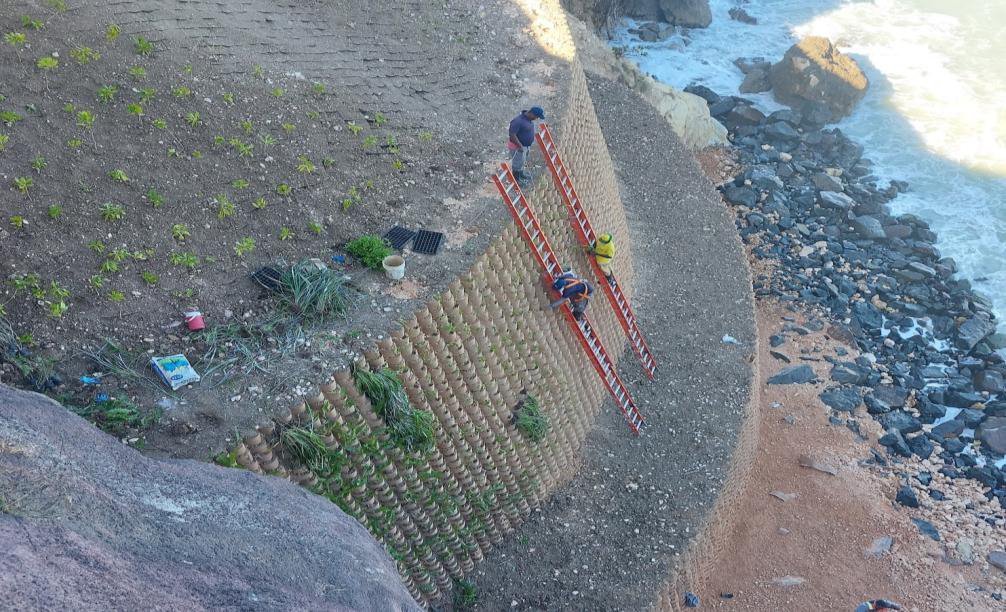 Crews planting the cliff face above the water