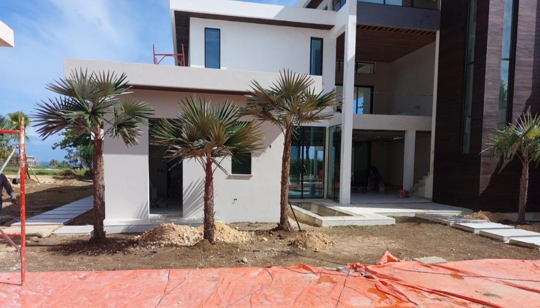 Palms going in at the villa entrance