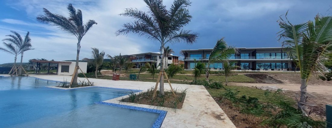 The finished pool terrace with palms