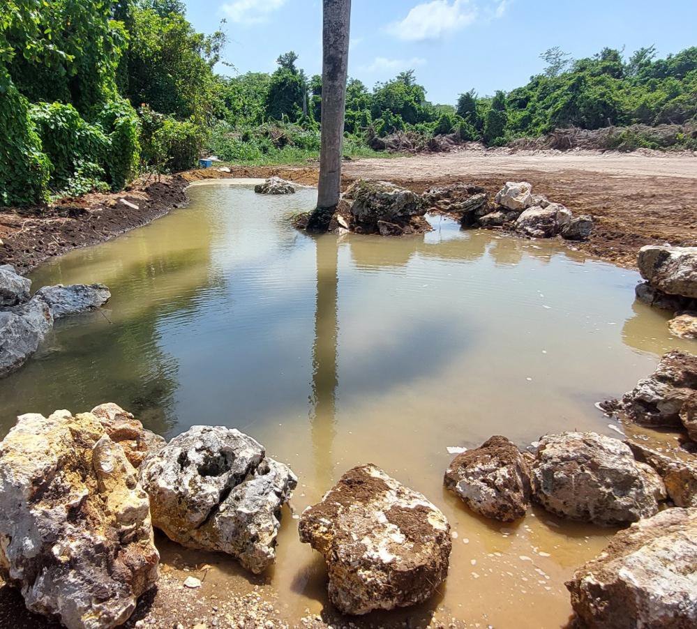 The pond just after excavation