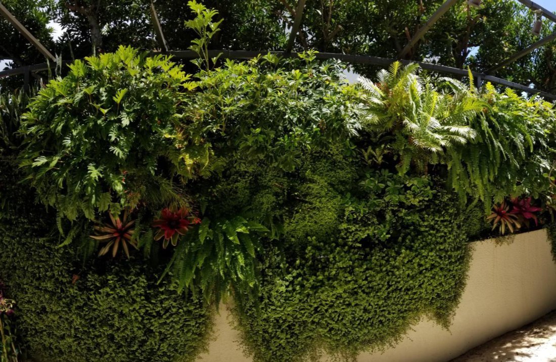 A dense mixed planter spilling over a wall