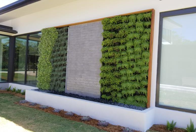 A green wall covering the facade of a house